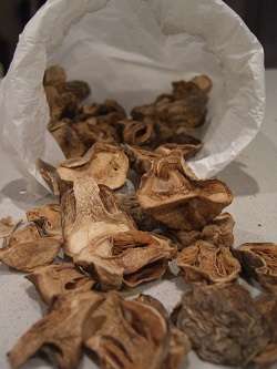 how to dehydrate mushroom in air fryer